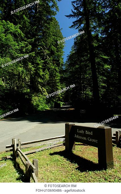 Orick, CA, California, Redwood National and State Parks, Lady Bird Johnson Grove, entrance