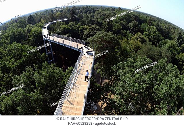 A new 320 m long canopy walkway has almost been completed in Beelitz-Heilstaetten, Germany, 04 August 2015. The treetop walkway located on the grounds of a...