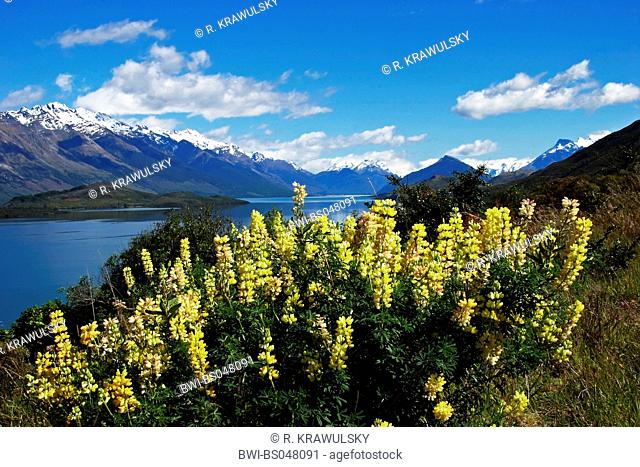 Lake Wakatipu between Queenstown and Glenorchy, New Zealand, Central Otago