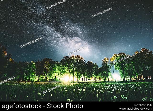 Green Trees Woods In Park Under Night Starry Sky In Violet Color. Landscape With Glowing Milky Way Stars Over Meadow At Summer Season