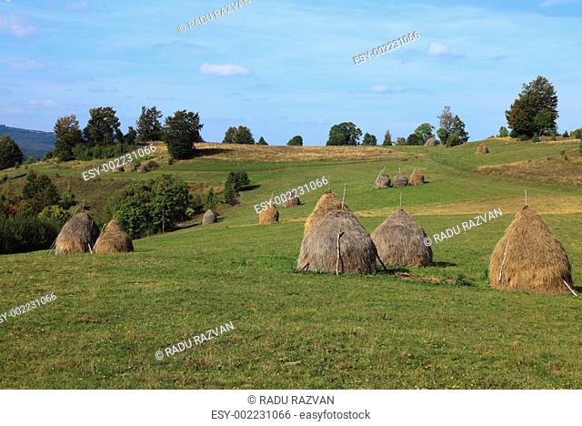 Rural Transylvanian landscape