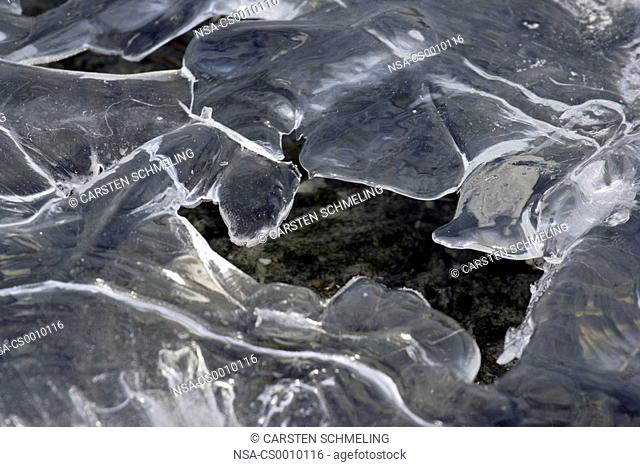 Ice formations in a brook