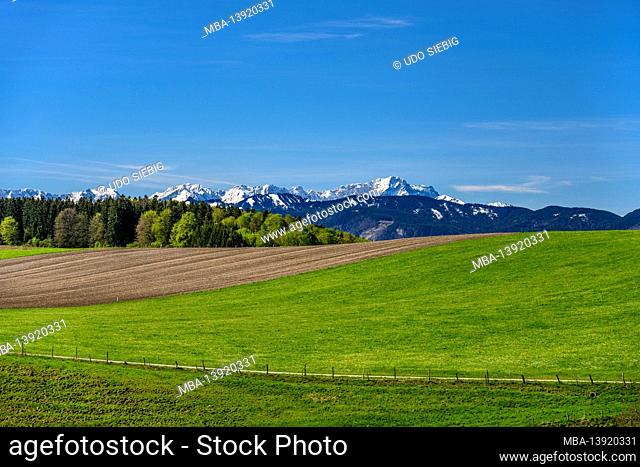 Germany, Bavaria, Upper Bavaria, Pfaffenwinkel, Eberfing, Schellenberg against Zugspitze massif