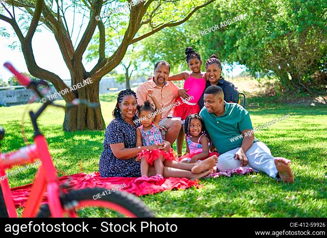 Multigenerational family posing in summer park