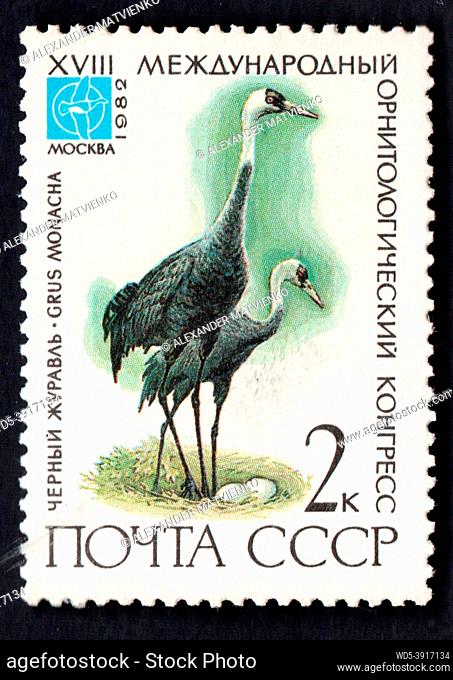 USSR - CIRCA 1982: stamp printed by USSR, shows bird black crane, devoted 18th Ornithological Cong. Grus Monacha. Birds on post stamp isolated on black