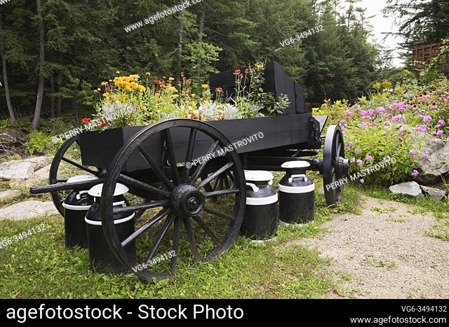 Black wooden wagon planted with yellow Coreopsis - Tickseed, red Gaillardia - Blanket flowers and Rudbeckia hirta 'Goldilocks - Coneflowers