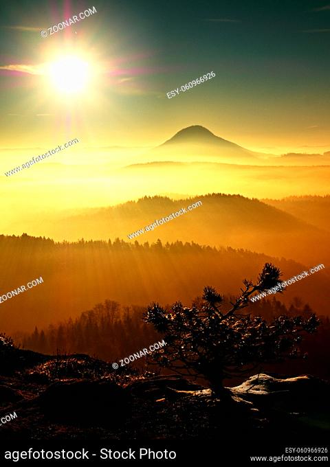 Cold golden spring daybreak. Snow on ground. Peaks of forests increased from the yellow and orange fog with sun rays