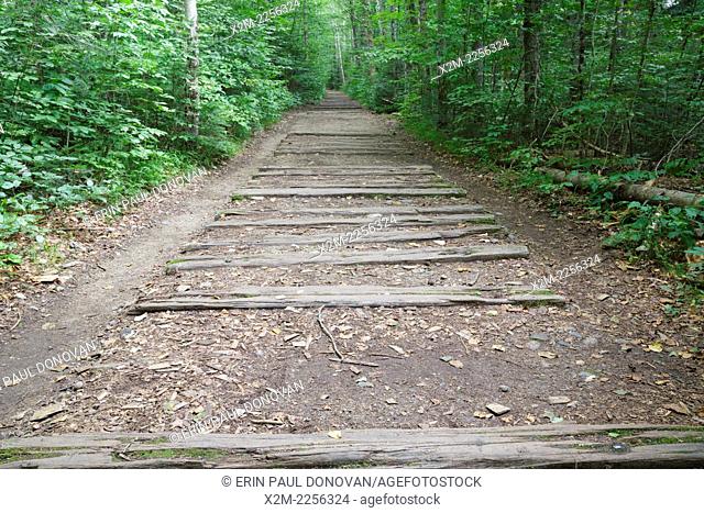 Railroad ties from the old East Branch & Lincoln Railroad along the Lincoln Woods Trail in Lincoln, New Hampshire USA. This was a logging Railroad which...