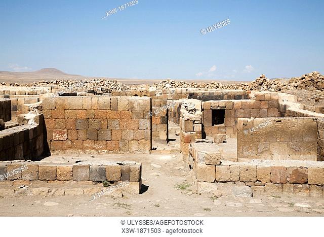 ruins of houses, ani ruins, kars area, north-eastern anatolia, turkey, asia