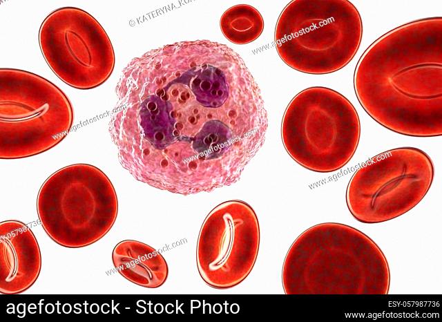 Neutrophil, a white blood cell isolated on white with clipping path, 3D illustration. The most abundant type of granulocytes, has phagocyting activity