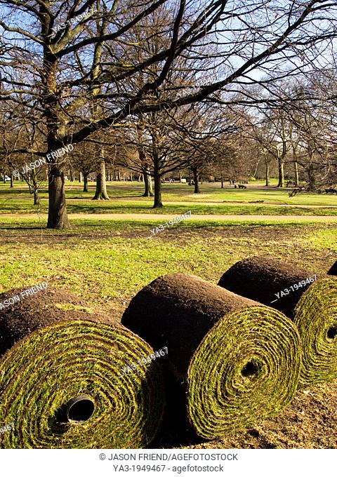 England, London, Hyde Park. Rolls of turf in Hyde Park, a popular green space near the city center of London