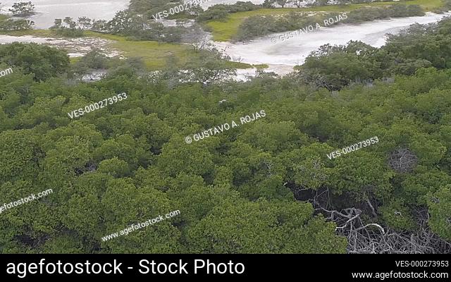 Moving right aerial view of a mangrove cay rabusky turquoise waters in the Caribbean sea Los-roques National Park Venezuela