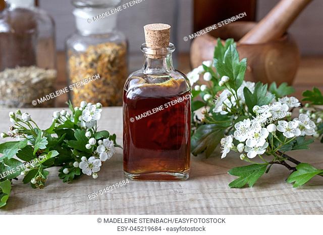 A bottle of homemade herbal tincture with fresh blooming hawthorn branches