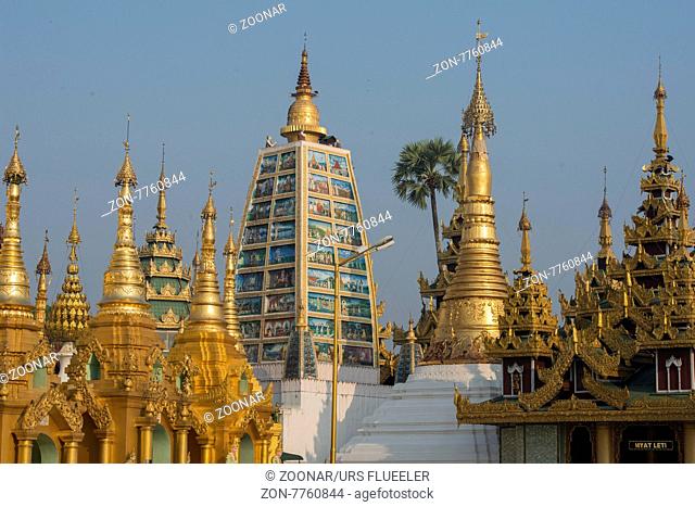the architecture in the Shwedagon Paya Pagoda in the City of Yangon in Myanmar in Southeastasia