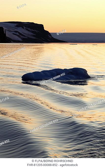 View of waves and ice floe at sunset, Arctic Sea, Spitsbergen, Svalbard, august