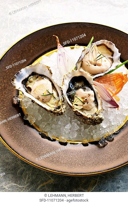 Oysters with shallot and vinegar foam