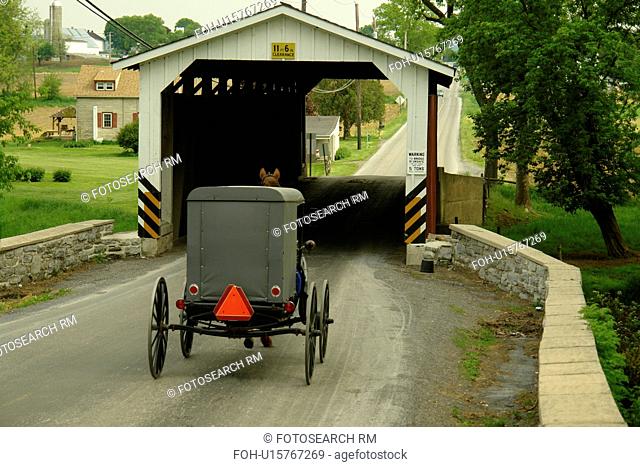 Gap, PA, Pennsylvania, Pennsylvania Dutch Country, Amish, horse and buggy, road, covered bridge