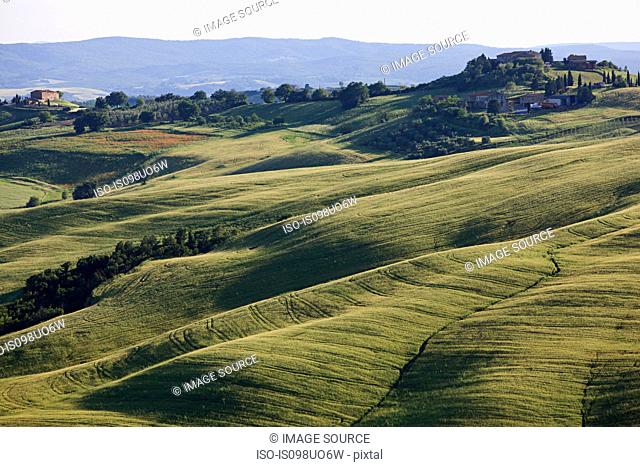 Rolling landscape near Siena, Tuscany, Italy