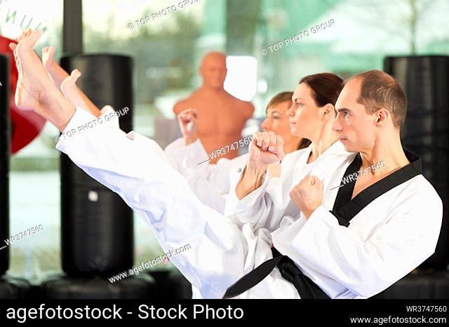 Leute im Fitnessstudio beim Training von Kampfsport, es geht um Taekwondo, der Trainer hat den schwarzen Gürtel