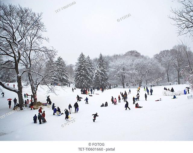 Children sledding in Central Park