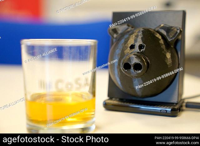 18 February 2022, Schleswig-Holstein, Lübeck: An artificial nose with a plastic pig's face stands next to a glass of whiskey in a laboratory at the Competence...