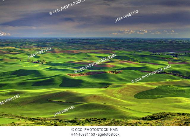 rolling hills in Palouse