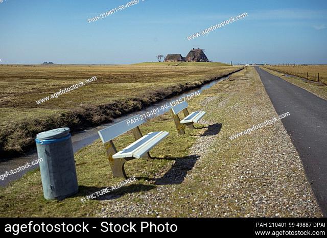 30 March 2021, Schleswig-Holstein, Hooge: Two white, empty benches and a trash can are seen along a road on the Hallig Hooge near a dwelling mound