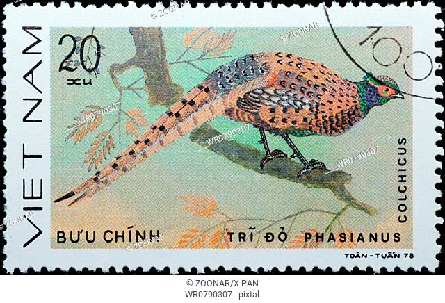 VIETNAM - CIRCA 1978: stamp - animal ornamental bird
