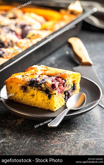 Homemade sponge cake with fruit. The sweet fruity pie