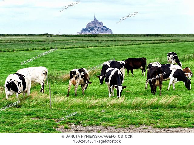 rural landscape of Normandy, Mont Saint-Michel in the background, France