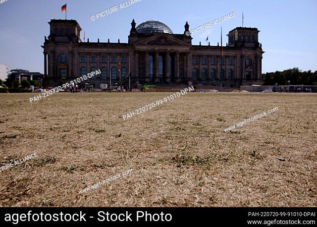 20 July 2022, Berlin: The once green meadow in front of the Reichstag building has withered away. Photo: Paul Zinken/dpa. - Berlin/Berlin/Germany
