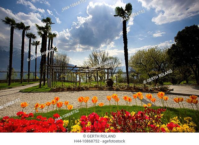 Minusio, Switzerland, canton Ticino, park, garden, flowers, tulips, rhododendron, trees, palms, stair, clouds, mountains, spring, lake, Lago Maggiore