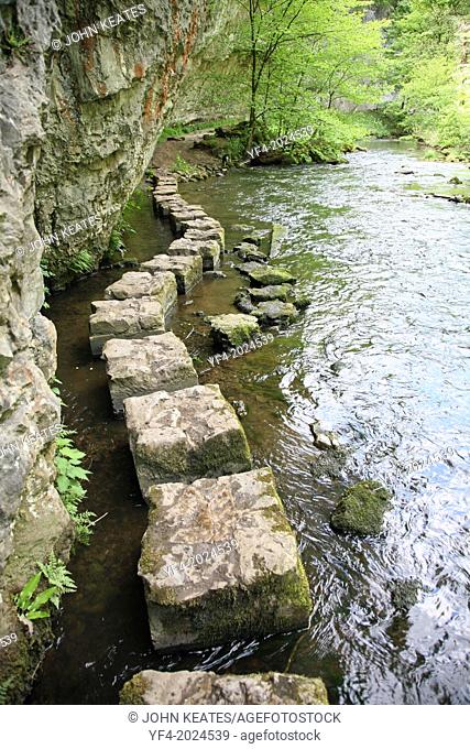 Limestone stepping stones on the River Wye at Chee Dale, Derbyshire Peak District National Park, England, UK