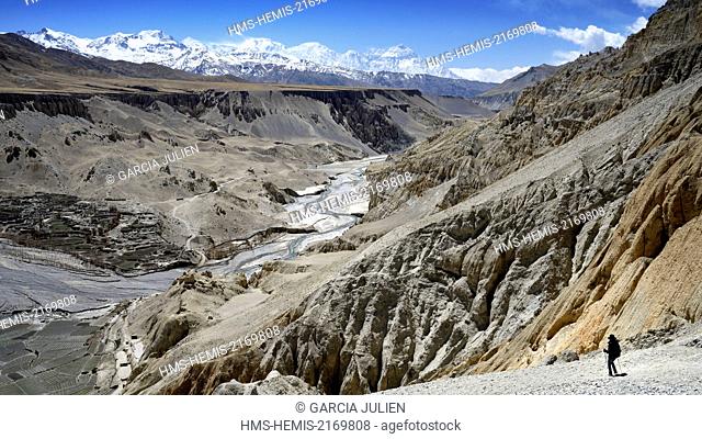 Nepal, Gandaki zone, Upper Mustang (near the border with Tibet), trekker and mineral landscape reaching the valley of Dhie Gaon village
