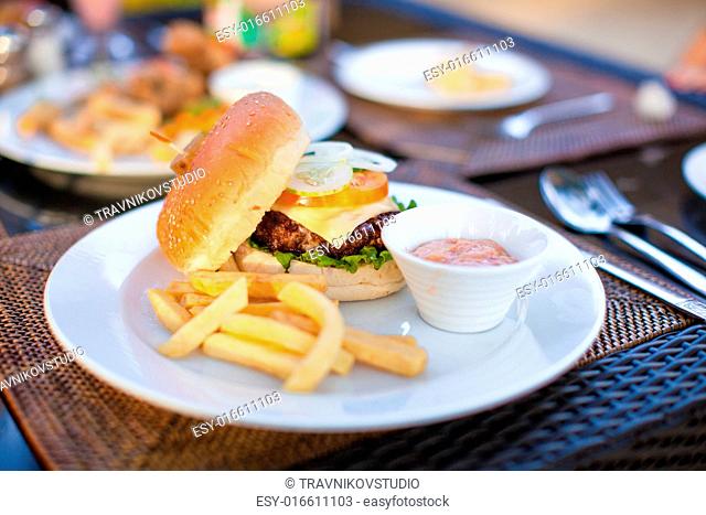 Burger and fries on white plate for lunch