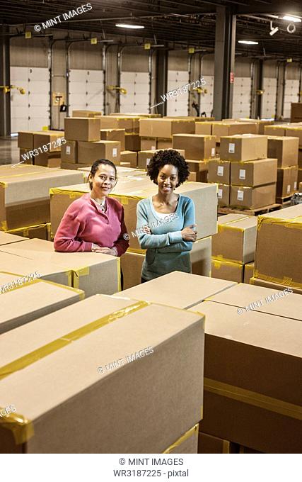 Team portrait of two African American female warehouse workers surrounded by products stored in cardboard boxes in front of loading dock doors in a large...