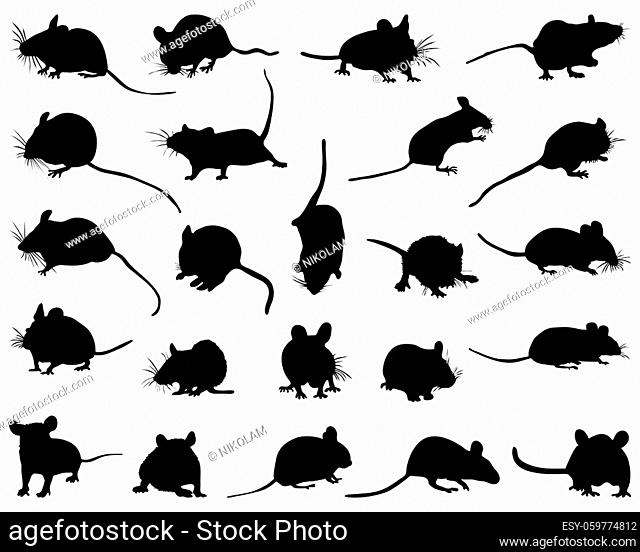 Black silhouettes of mouses on a white background