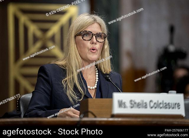 Ms. Sheila Colclasure, Global Chief Digital Responsibility And Public Policy Officer, IPG Kinesso, speaks during a Judiciary Subcommittee on Competition Policy
