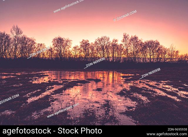Frozen puddle in the sunset in the winter