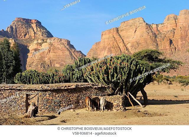 Farmhouse. Gheralta range. Hawsien region. Tigray. Ethiopia