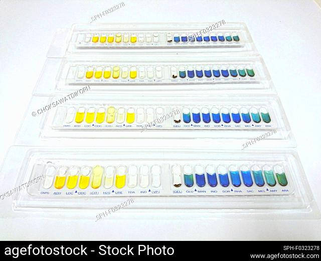 Bacteria identification kits