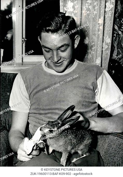 1968 - Queer Friendships - Some Unusual Animal Pals: It is often believed that animals of different families can never be friends