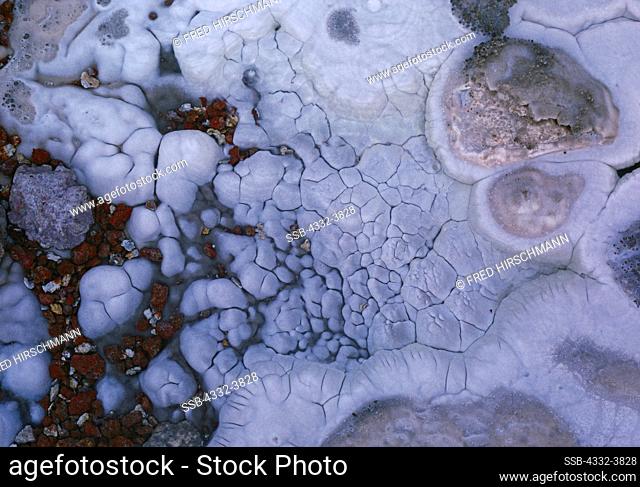 USA, Wyoming, Yellowstone National Park, Norris Geyser Basin, Details of geyserite deposit in north vent of Steamboat Geyser