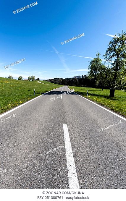 Narrow asphalt road between pastures in Switzerland. Swiss landscape with meadows