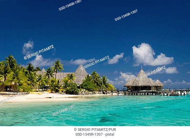 Tourist resort on the beach, Tikehau Pearl Beach Resort, Tikehau, Tuamotu Archipelago, French Polynesia