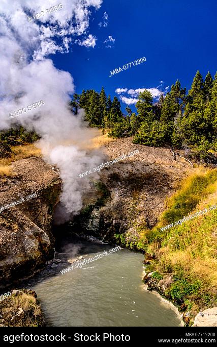 USA, Wyoming, Yellowstone National Park, Fishing Bridge, Hayden Valley, Mud Volcano Area, Dragon's Mouth Spring