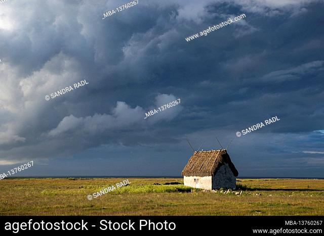 thatched sheep hut and dark clouds, Faludden peninsula in southern Gotland, Sweden, Gotland Island