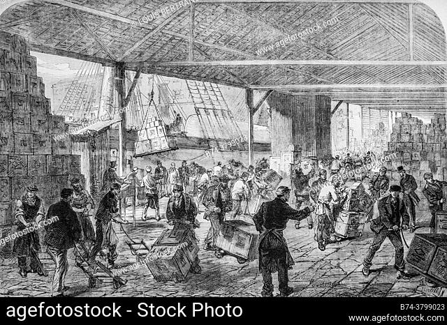 the arrival of tea in the docks of london, the illustrious universe, editor michel levy 1868