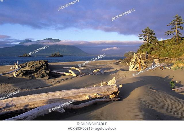 Clayoquot Sound, Whaler Island, sand dunes and grasses, Vancouver Island, British Columbia, Canada