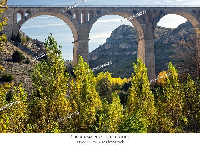 Viaduct in the Riaza Canyon Natural Park. Montejo de la Vega de la SerrezuelaSegovia. Castilla Leon. Spain. Europe